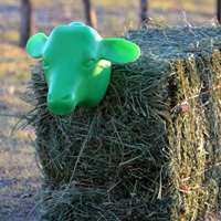 Roping Dummies