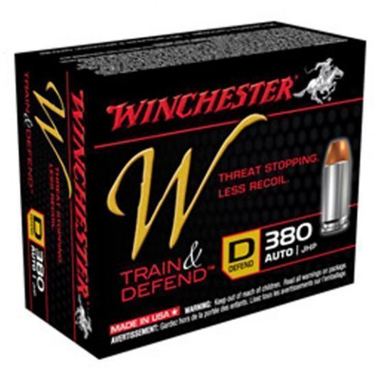 .380 ACP Winchester Train & Defend