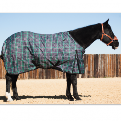Cactus Turnout Blanket 70"