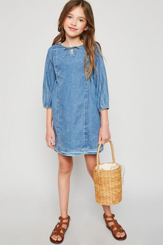 Chambray Denim Dress