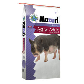 Mini Pig Active Adult