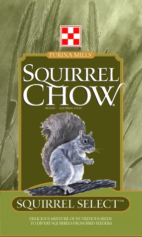 Squirrel Chow